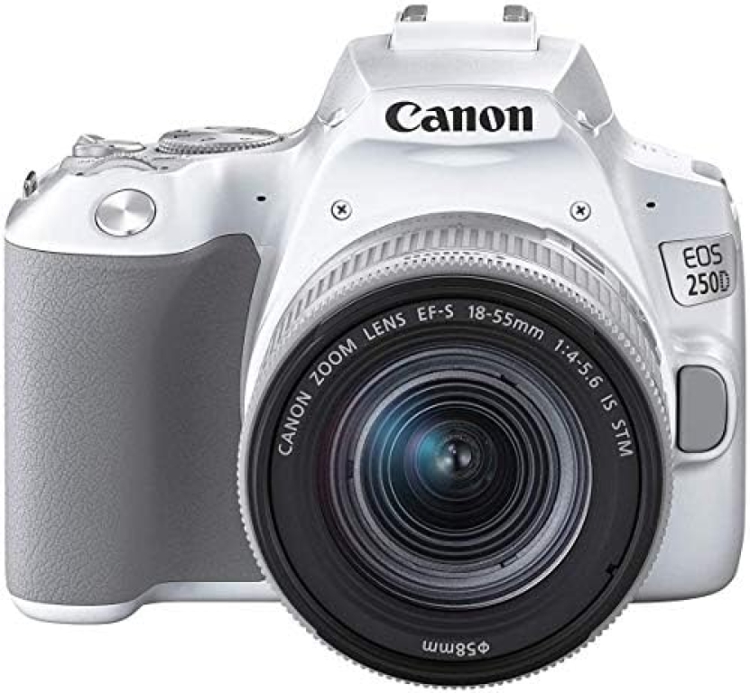 Meilleures options de Canon EOS 250D : Comparatif des produits