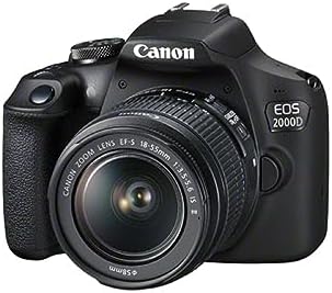 Découvrez le Canon EOS 250D: un appareil photo polyvalent