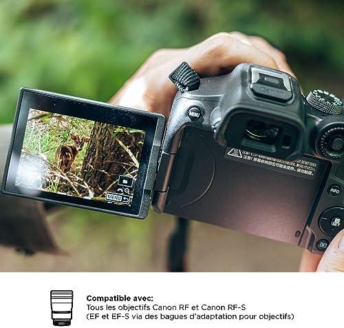 Découvrez le Canon EOS R7: Le compagnon idéal pour capturer l'instant