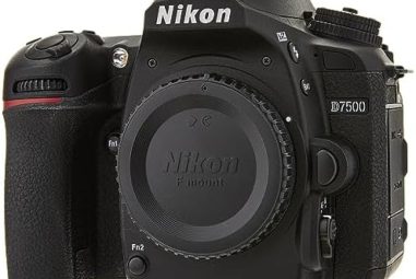 Le meilleur guide sur le Nikon D780 pour les amateurs de photographie