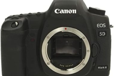 Tour d’horizon du Canon Powershot G5 X Mark II : Un concentré de performances photo